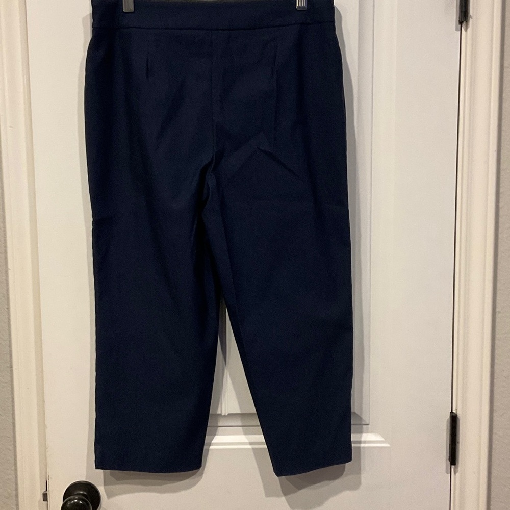 Time and Tru Capri Pants - Picture 3 of 5